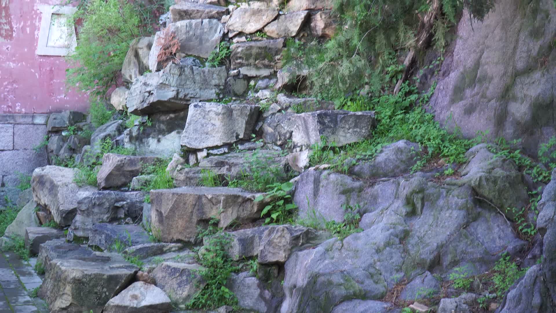 石头假山青苔中式园林造景遗址公园视频的预览图