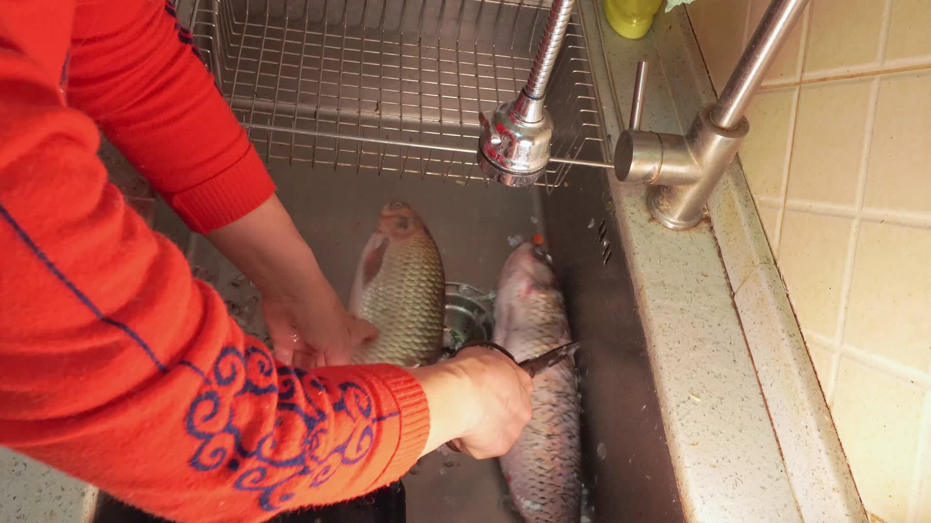 杀鱼杀草鱼刮鱼鳞水槽清洗处理草鱼视频的预览图