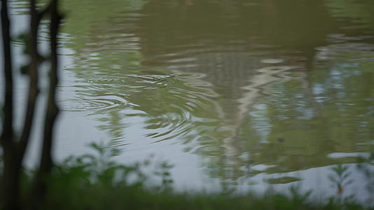 浙江义乌朱丹溪陵园亭子水中倒影视频的预览图