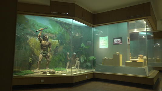 浙江义乌市博物馆原始人空镜视频的预览图