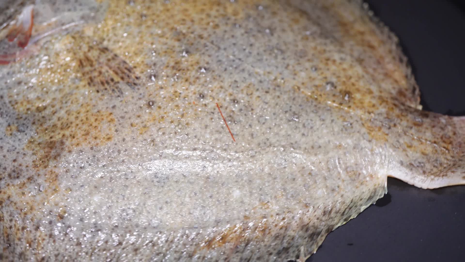 鳎目鱼鳊鱼偏口鱼鲳鱼海鲜视频的预览图