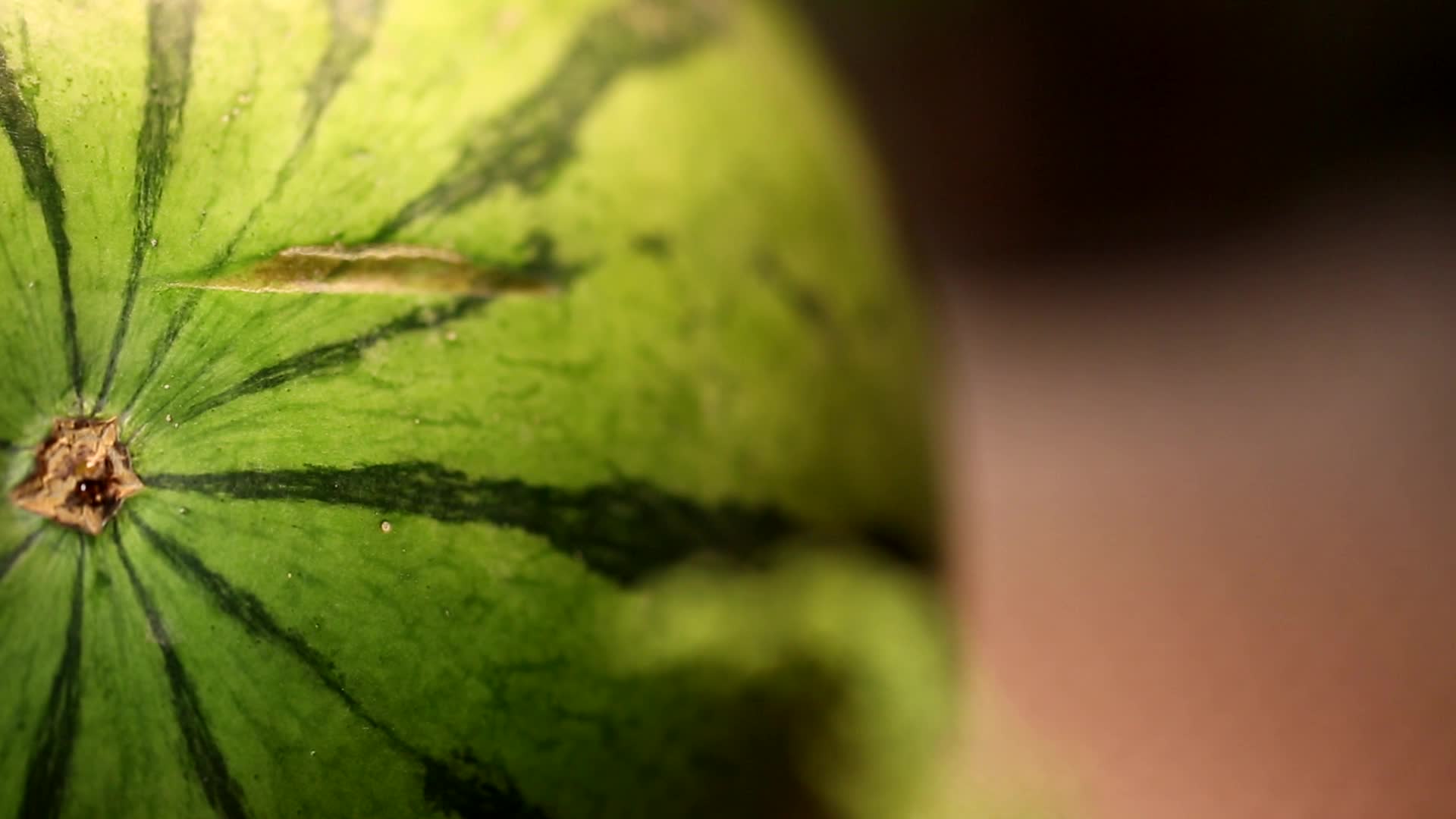 夏季水果西瓜麒麟西瓜视频的预览图