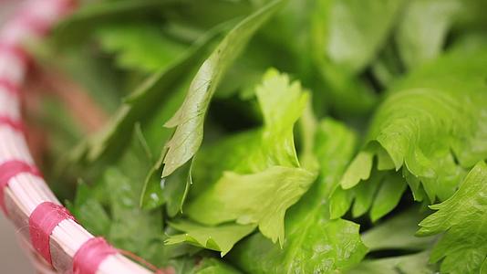 新鲜芹菜叶子维生素叶绿素视频的预览图