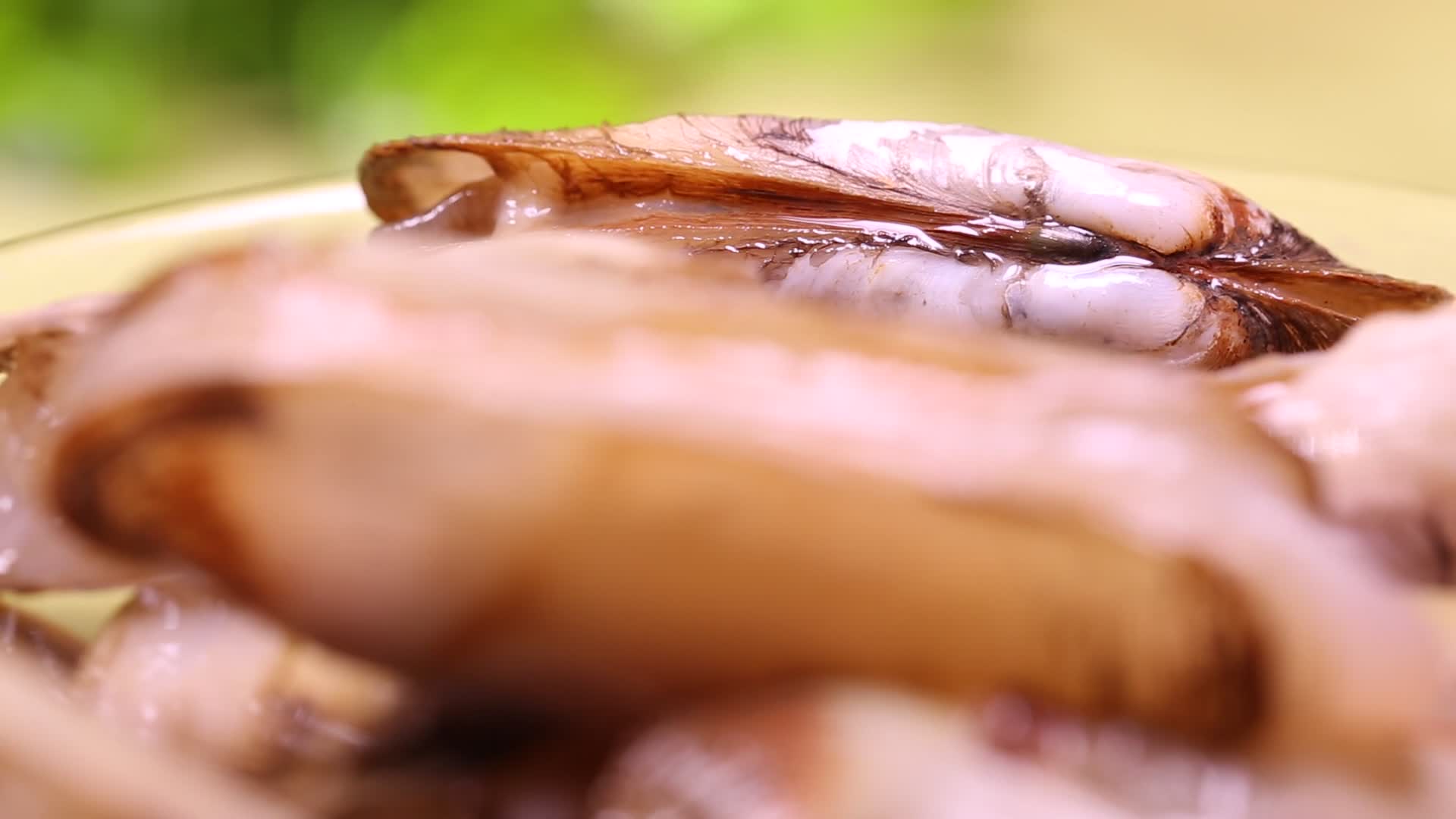 小人仙蛏子肉鲜活小海鲜视频的预览图