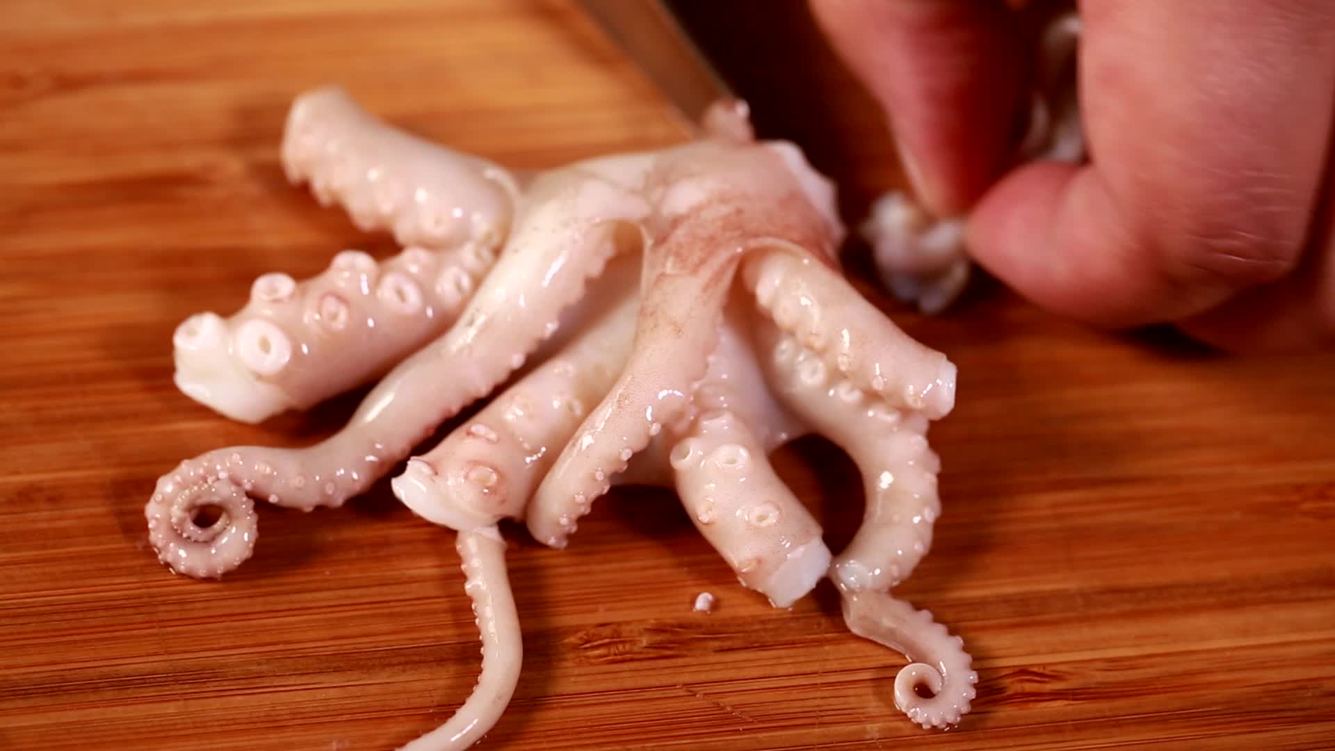 小章鱼墨斗鱼清洗处理八爪鱼红烩海鲜视频的预览图