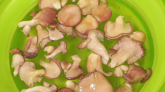 秀珍菇倒进水盆清洗平菇蘑菇食用菌菇视频的预览图