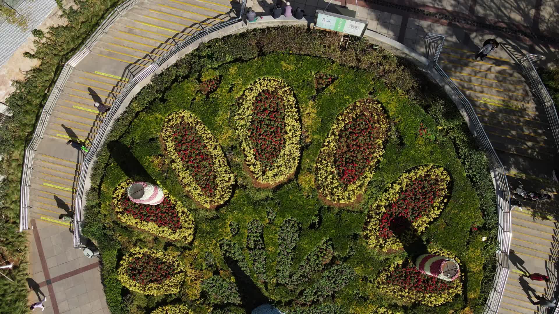 城市绿化植物俯拍视频的预览图