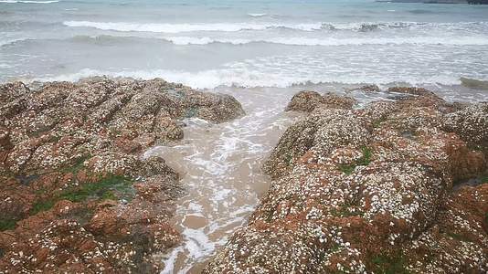 大海沙滩海浪自然风景航拍视频的预览图