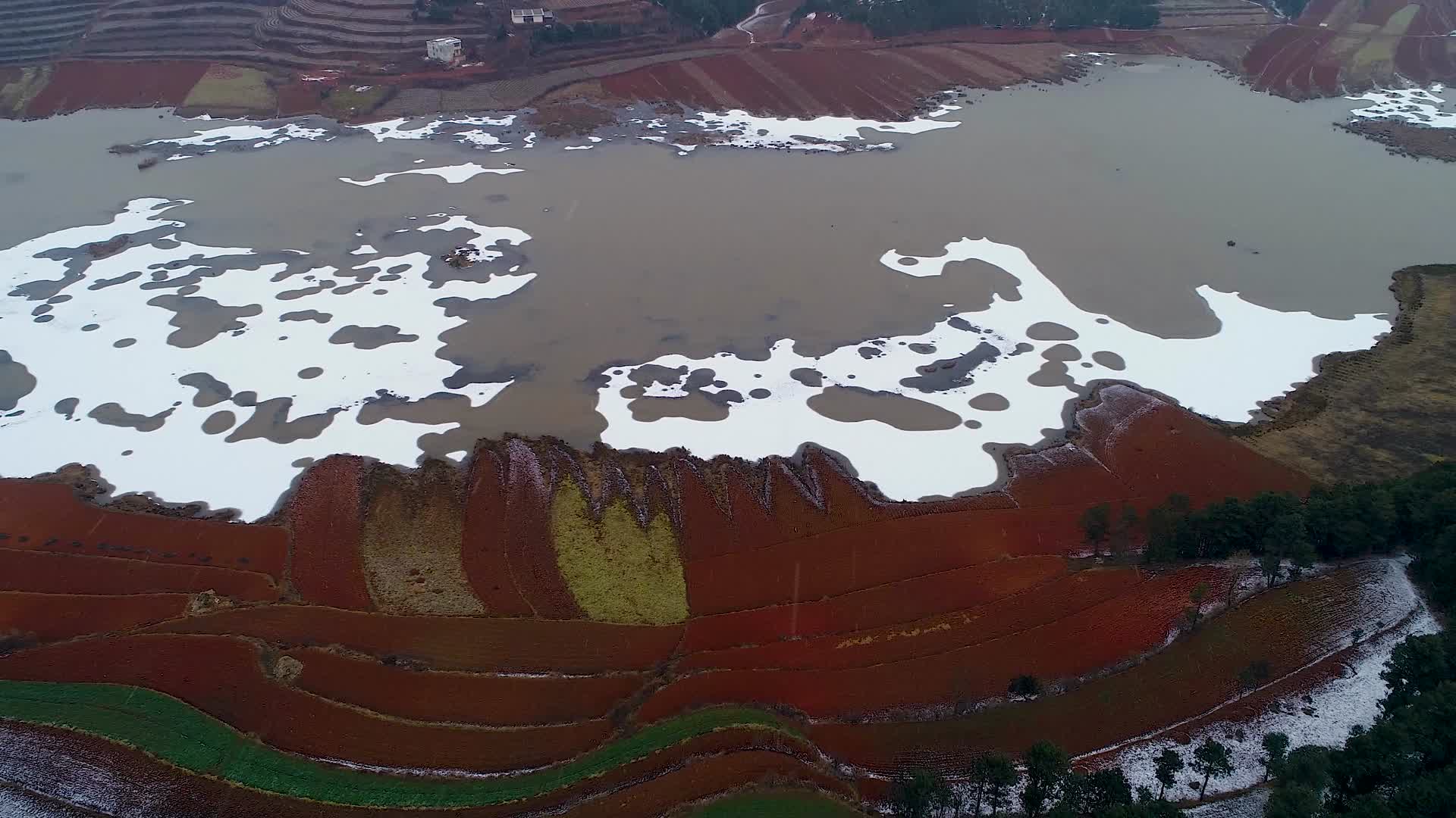 4K航拍云南会泽念湖马树湿地雪景视频的预览图