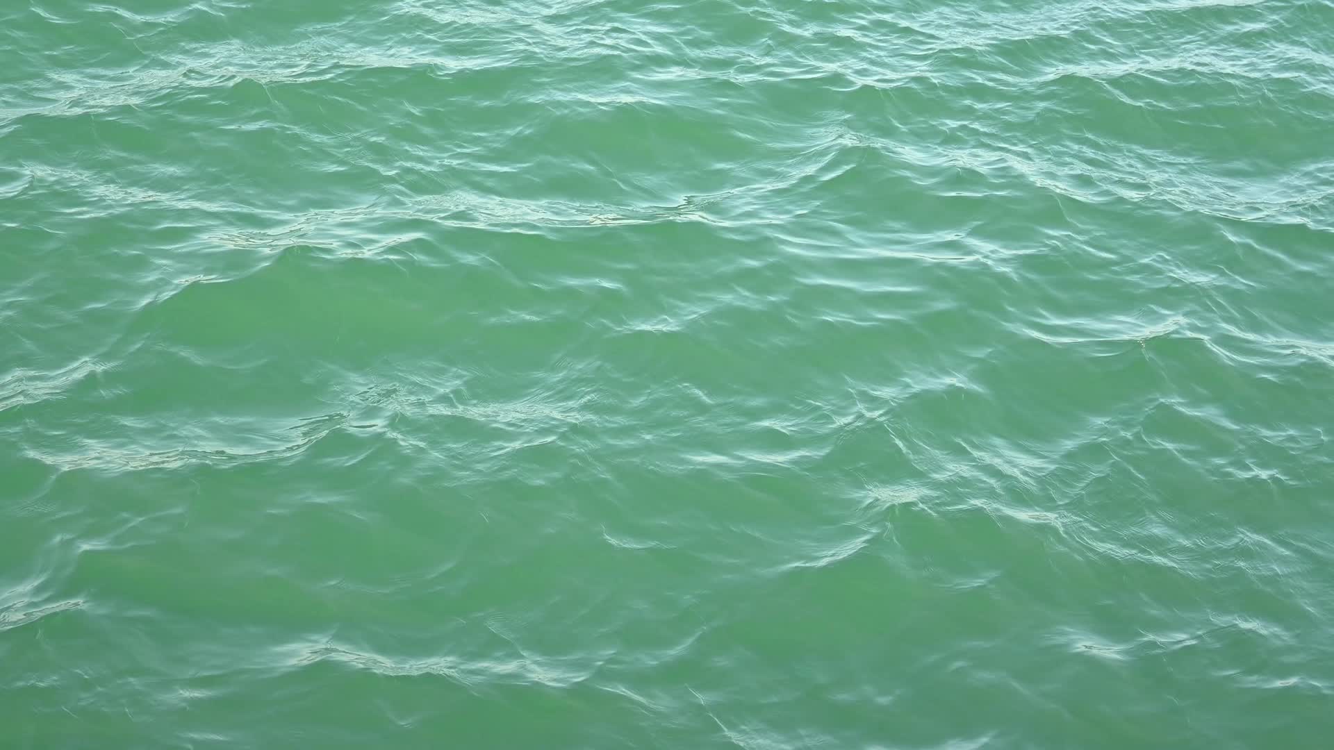 大海海水海平面波纹波浪自然风光视频的预览图