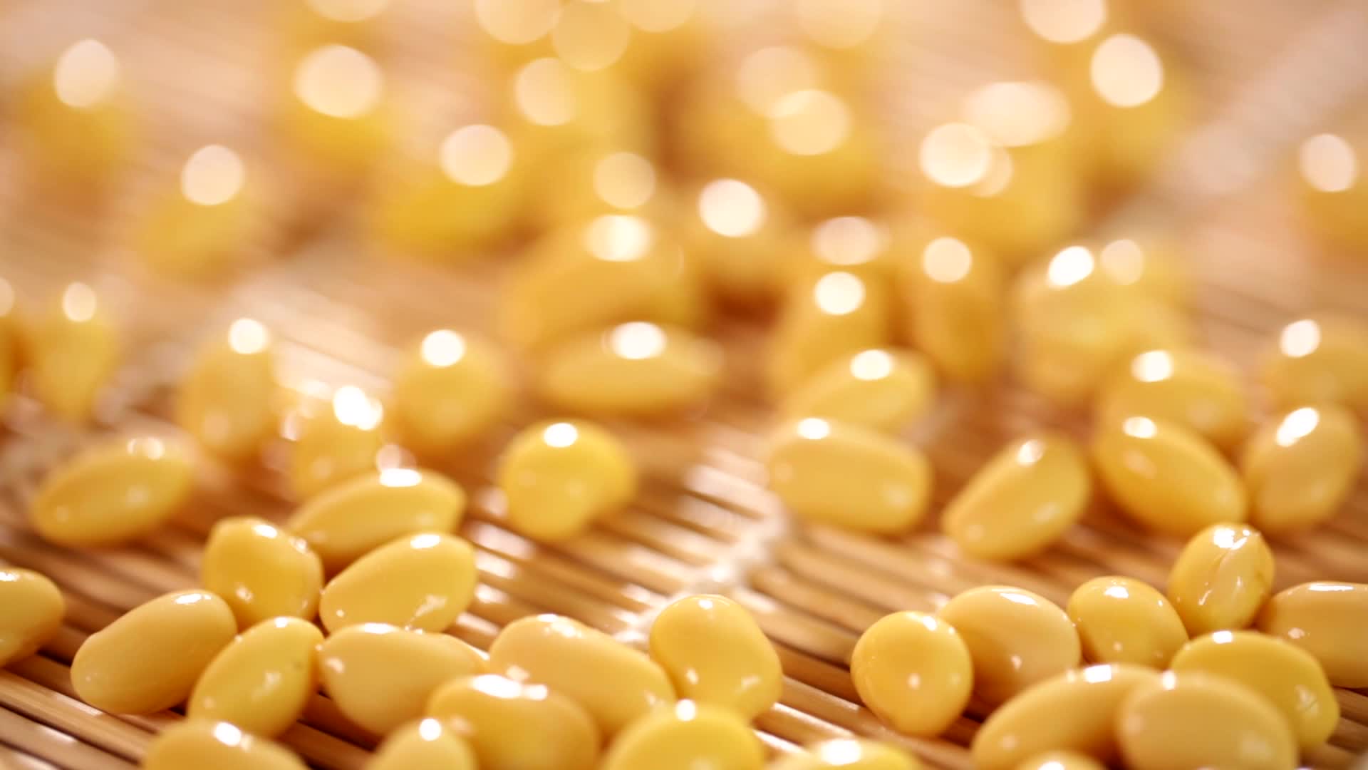 豆子黄豆大豆粗粮水发黄豆视频的预览图