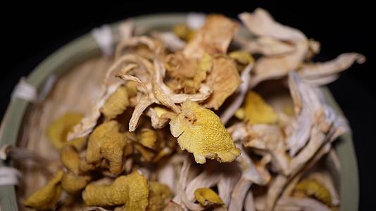 东北特产鸡油菌干蘑菇黄金股小黄蘑菇榆黄蘑视频的预览图