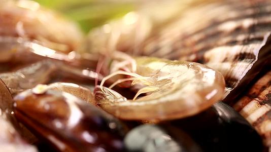 海虹大虾章鱼扇贝各种海鲜食材视频的预览图