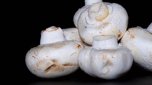 口蘑白蘑菇食用菌视频的预览图
