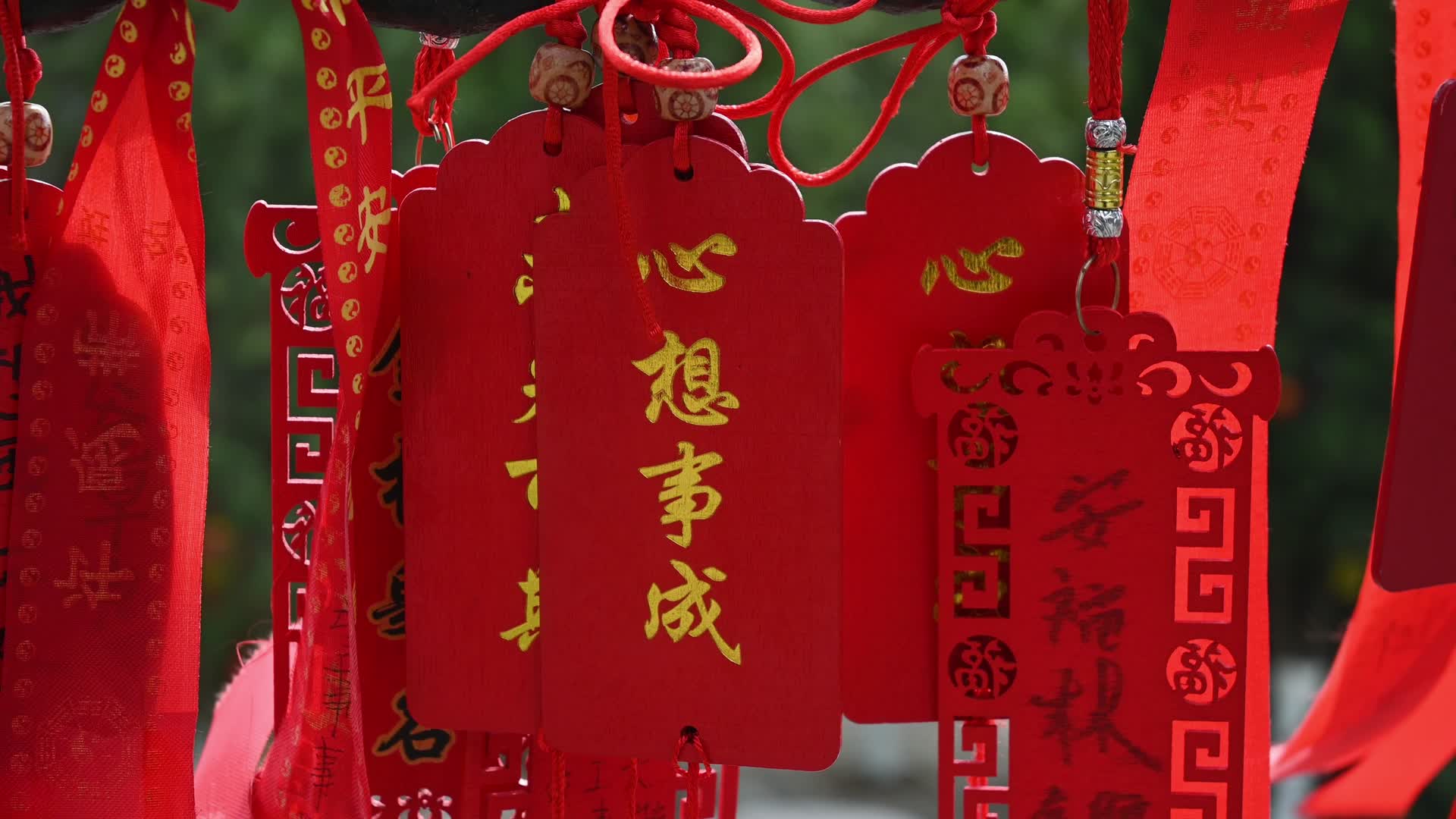 寺庙寺院祈福祈愿的红飘带和许愿树实拍视频的预览图