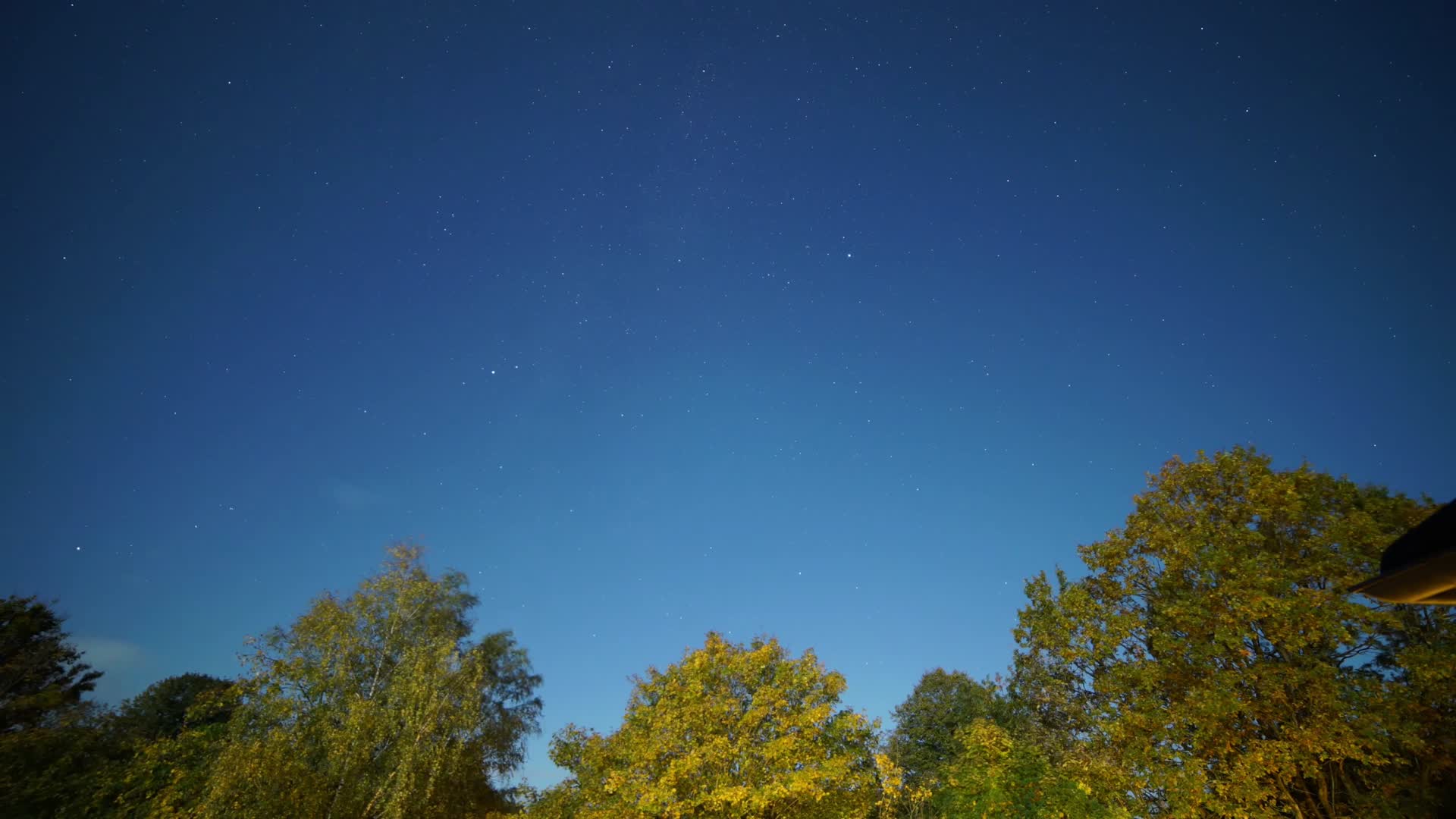 夜晚森林星空延时视频的预览图