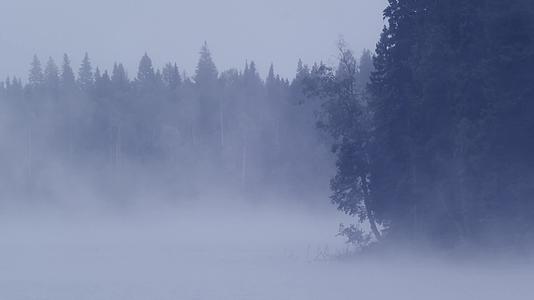 湖边清晨薄雾朦胧冷清合集视频的预览图