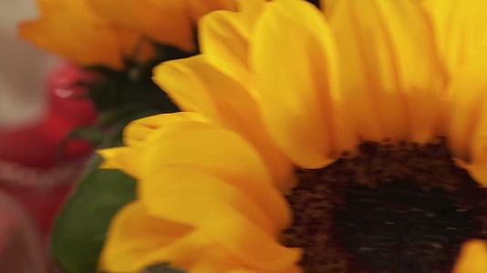 特写向日葵花朵鲜切花葵花视频的预览图
