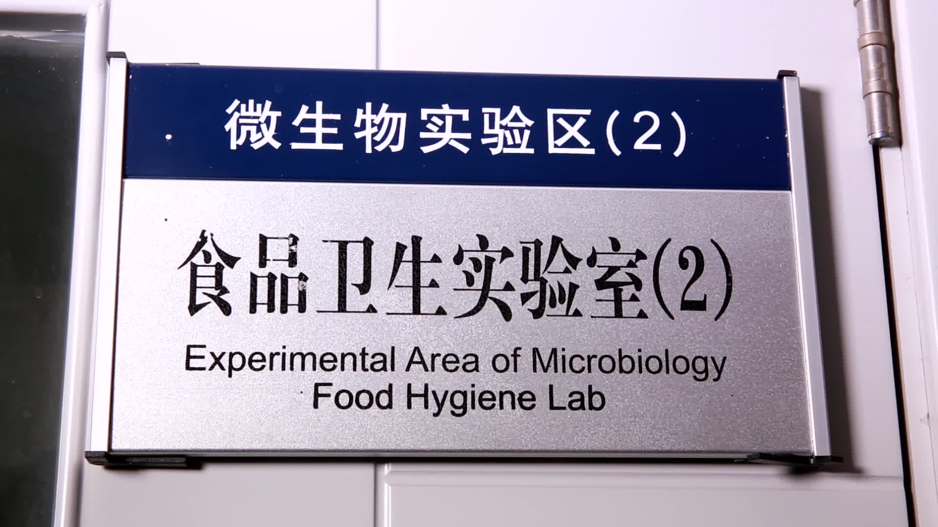 危险食品安全实验室检验菌落细菌培养皿视频的预览图