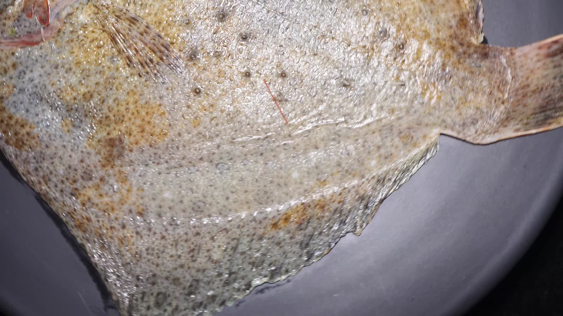 鳎目鱼鳊鱼偏口鱼鲳鱼海鲜视频的预览图