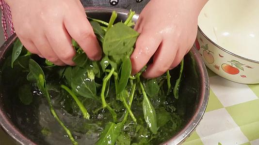 洗菠菜择菠菜处理蔬菜视频的预览图