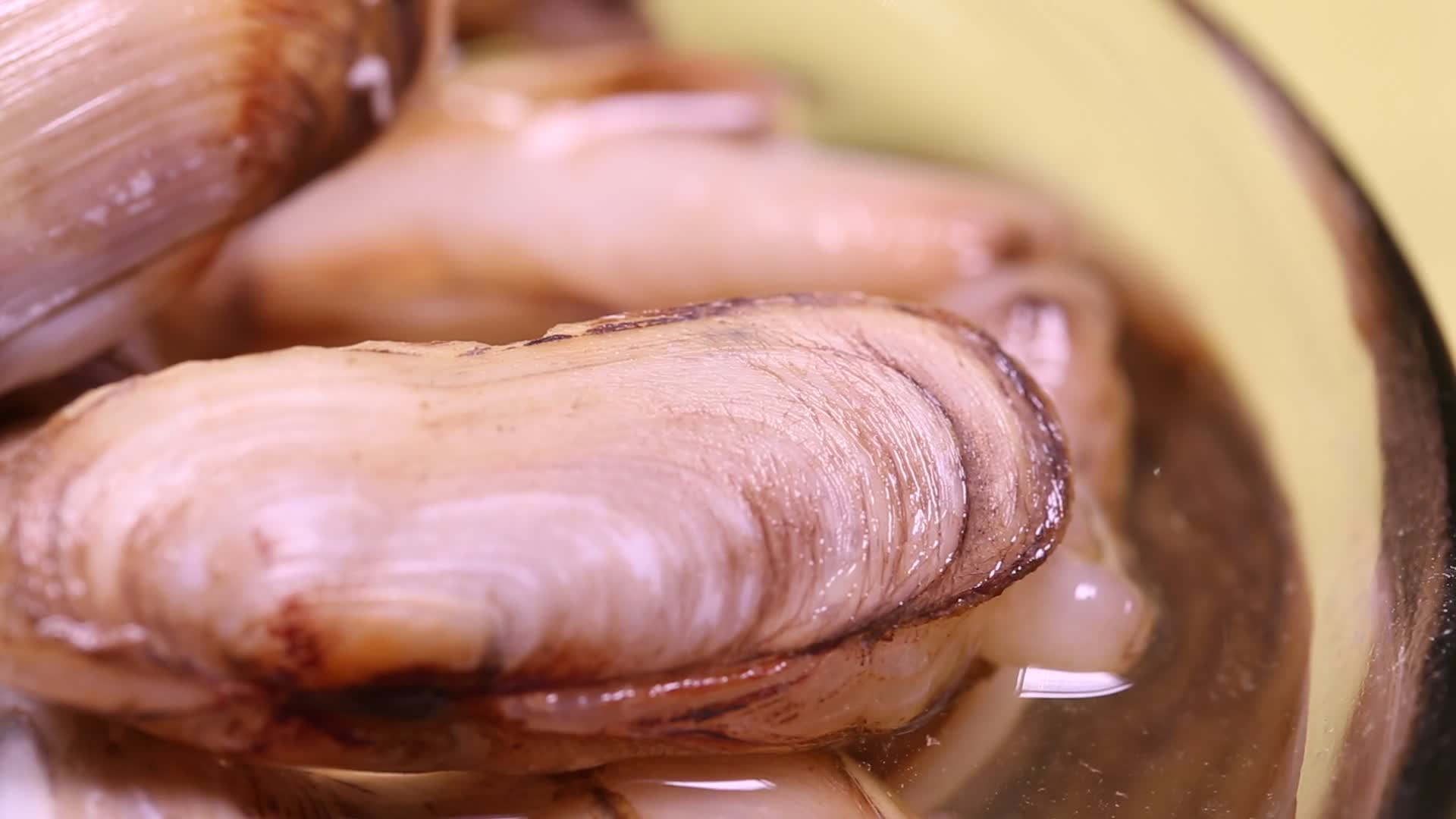小人仙蛏子肉鲜活小海鲜视频的预览图