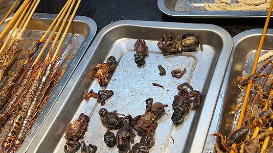油炸昆虫活蝎子食用昆虫炸蚂蚱豆丹黑暗料理视频的预览图