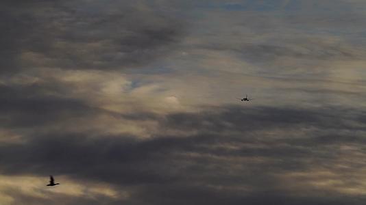 飞机飞过天空云层视频的预览图