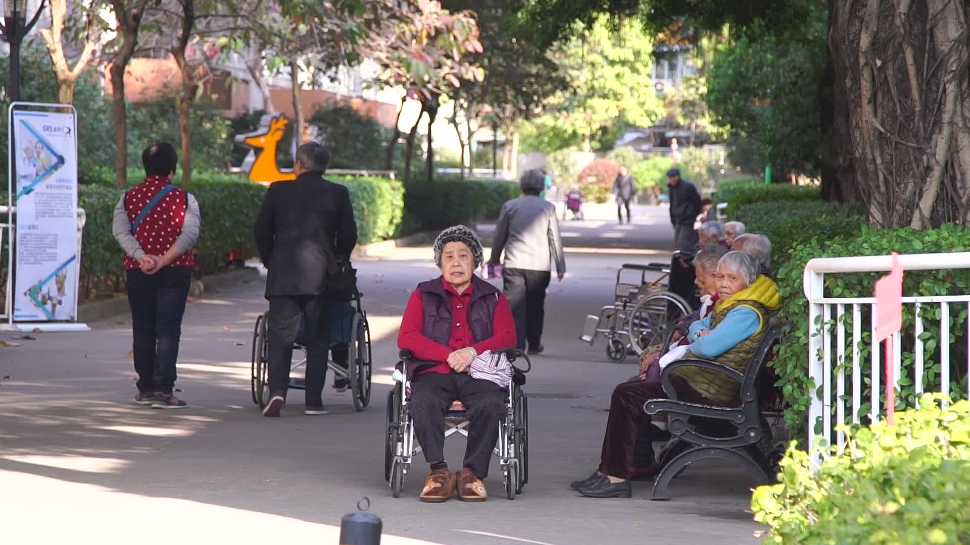 护工护理养老院养老机构康养视频的预览图