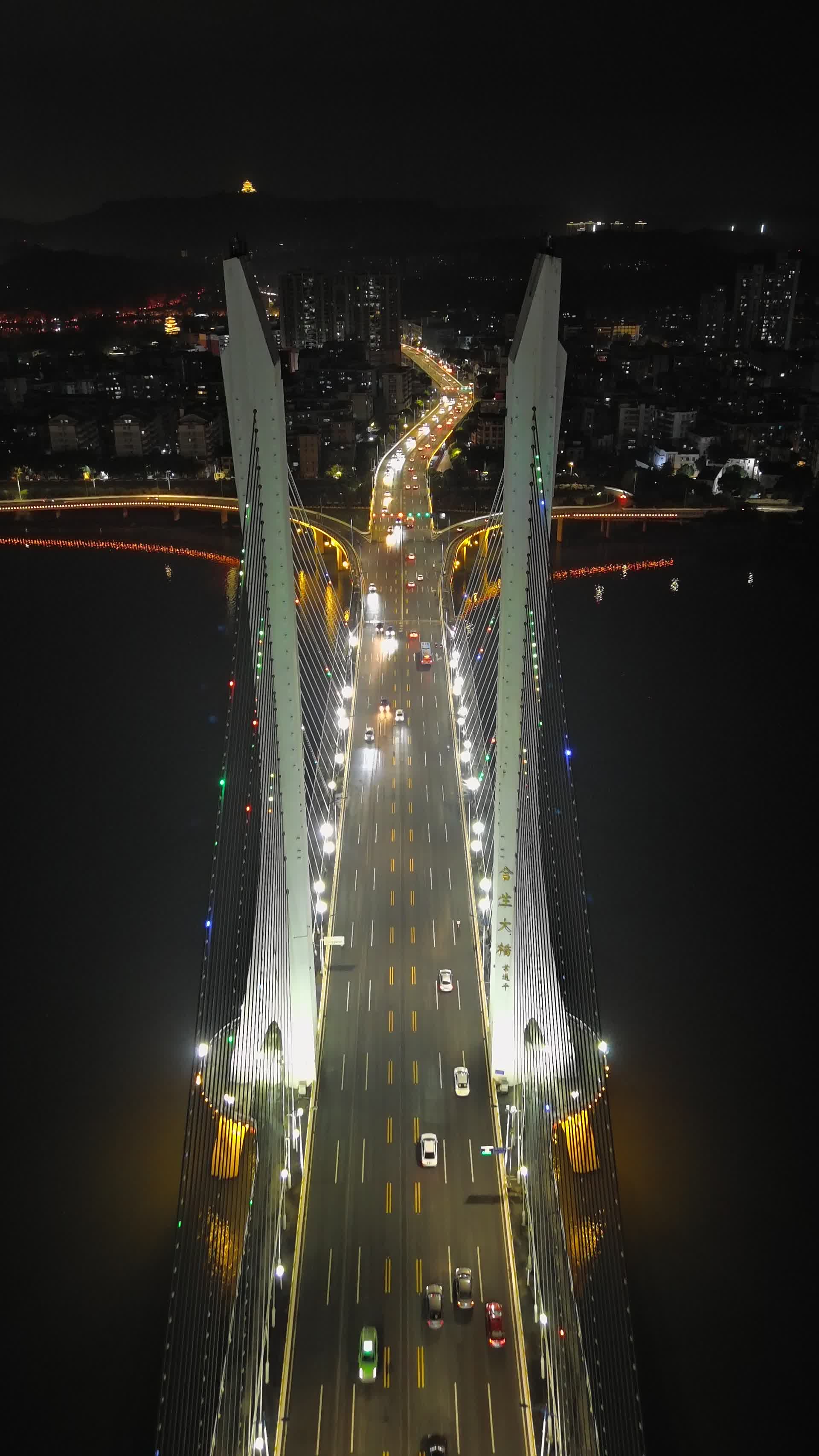 惠州西湖夜景高清4K竖拍视频视频的预览图