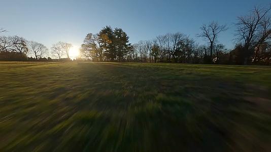 黄昏夕阳森林草坪穿越机航拍视频的预览图