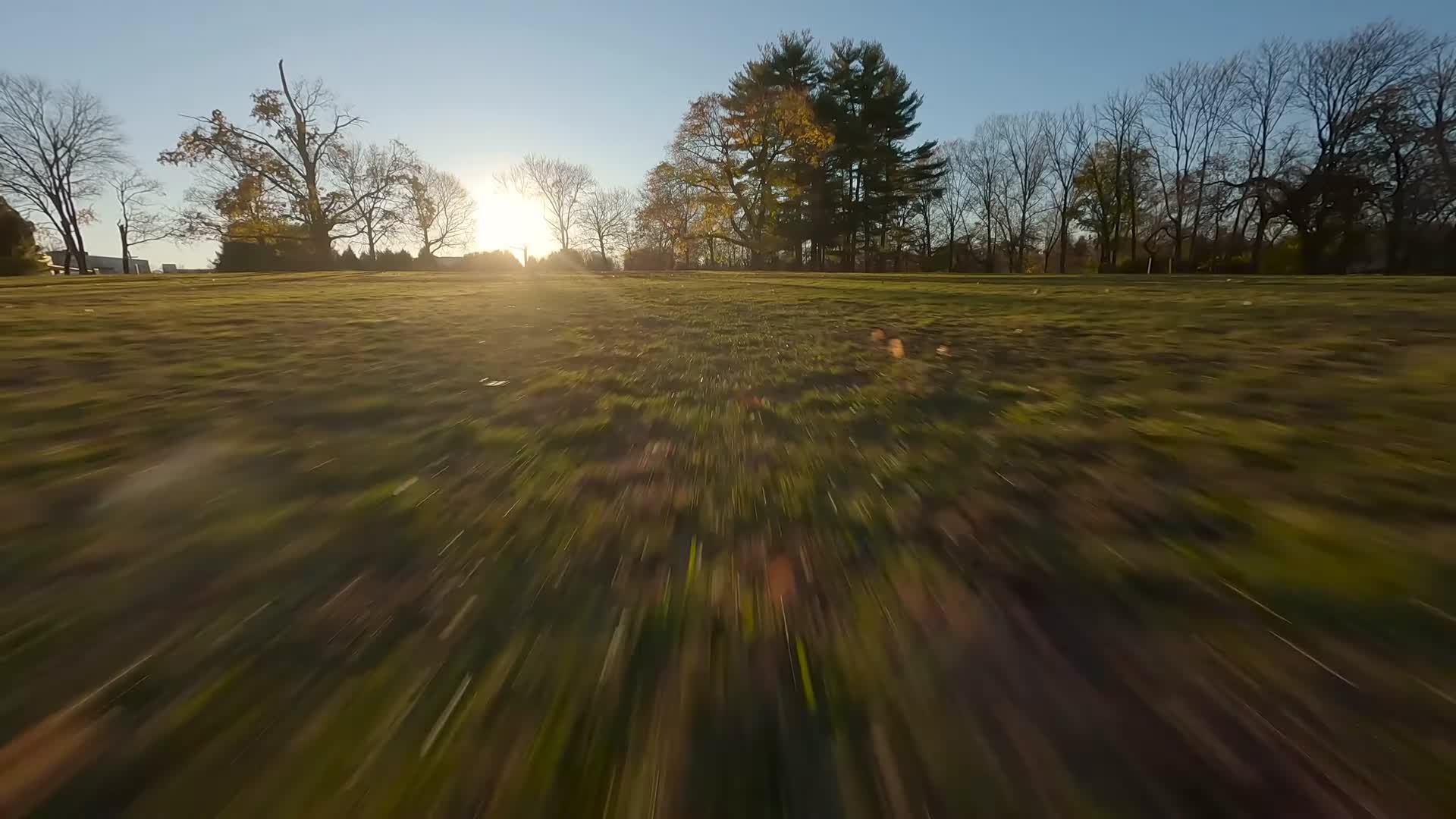 黄昏夕阳森林草坪穿越机航拍视频的预览图