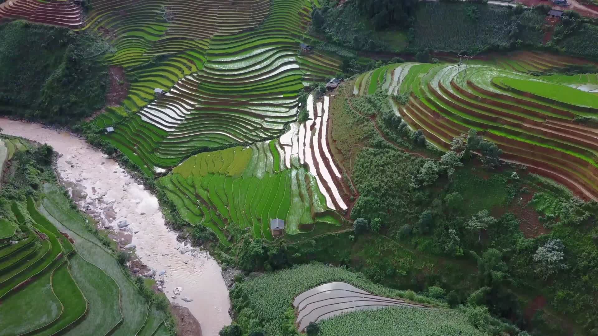 4K农业航拍视频农村农田视频的预览图