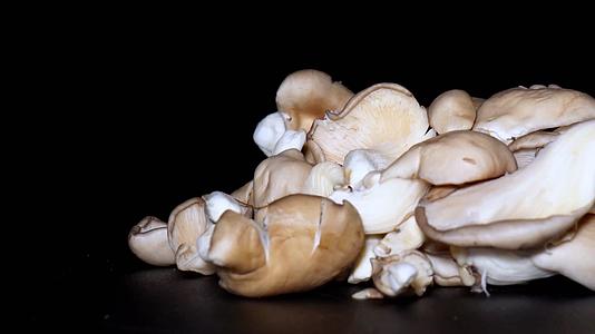 美食蘑菇平菇秀珍菇食用菌食材视频的预览图