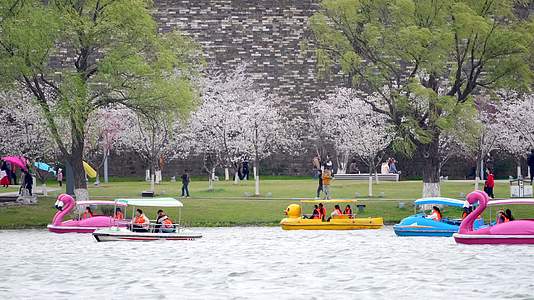 南京玄武湖公园乘船游玩4K视频的预览图