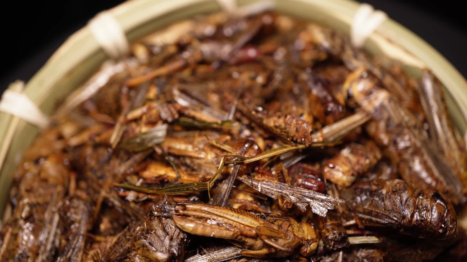 食用昆虫油炸蚂蚱蝗虫干炸蝗虫宠物饲料视频的预览图