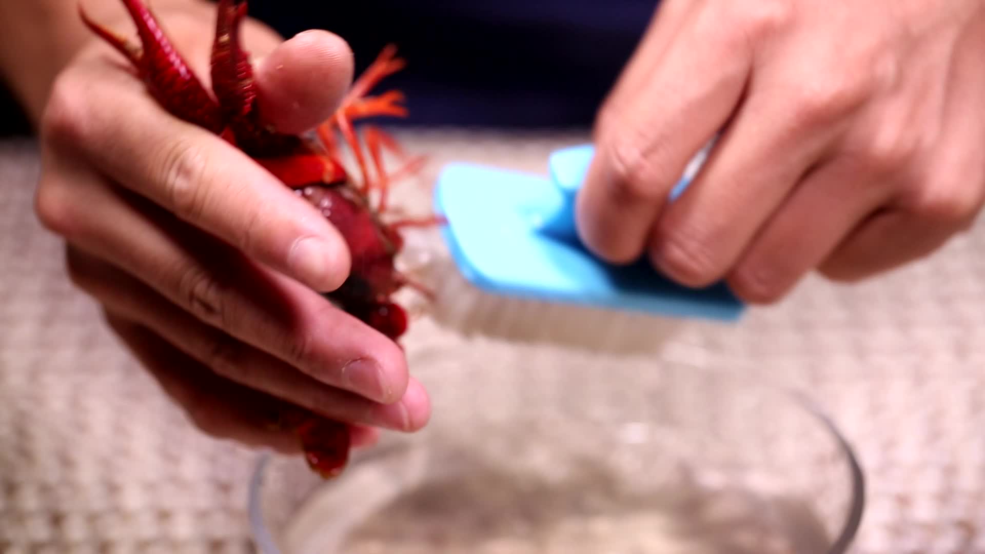 小龙虾身上的污渍刷洗小龙虾视频的预览图