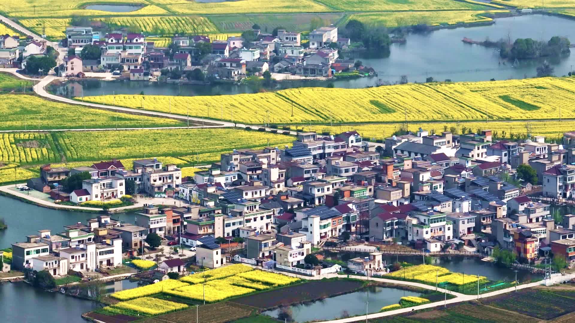 芜湖响水涧十万亩油菜花田乡村振兴春天田野视频的预览图