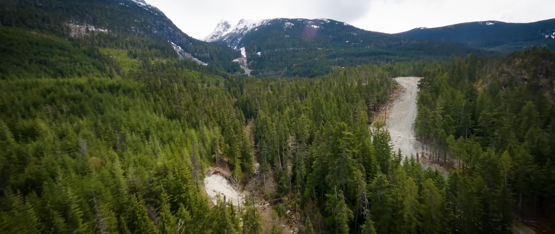 穿越机森林山脉航拍视频的预览图