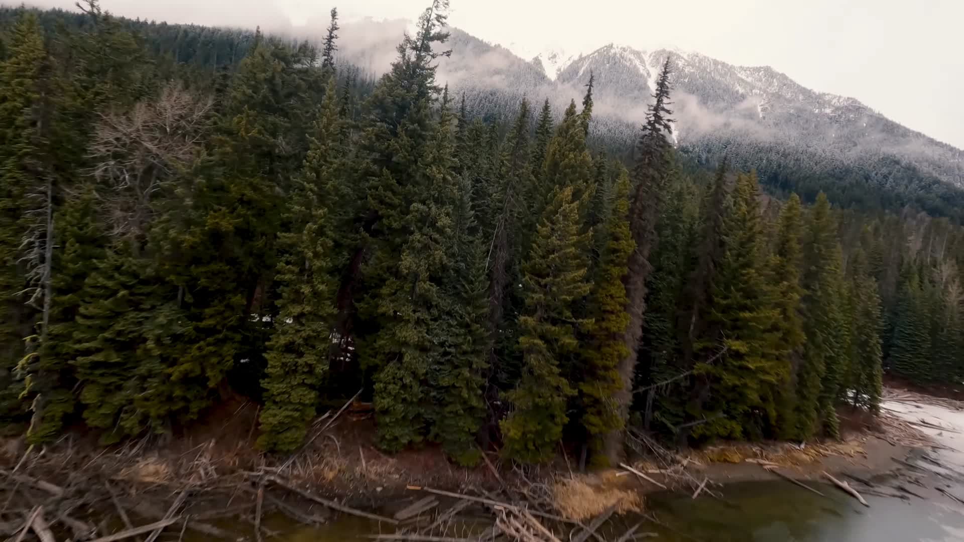 冬季穿越机飞越森林雪山山脉航拍视频的预览图