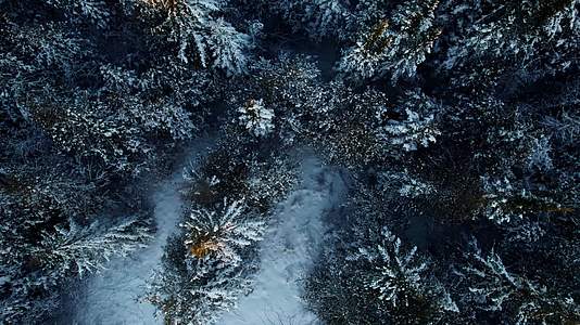 冬季森林傍晚夕阳雪景航拍视频的预览图