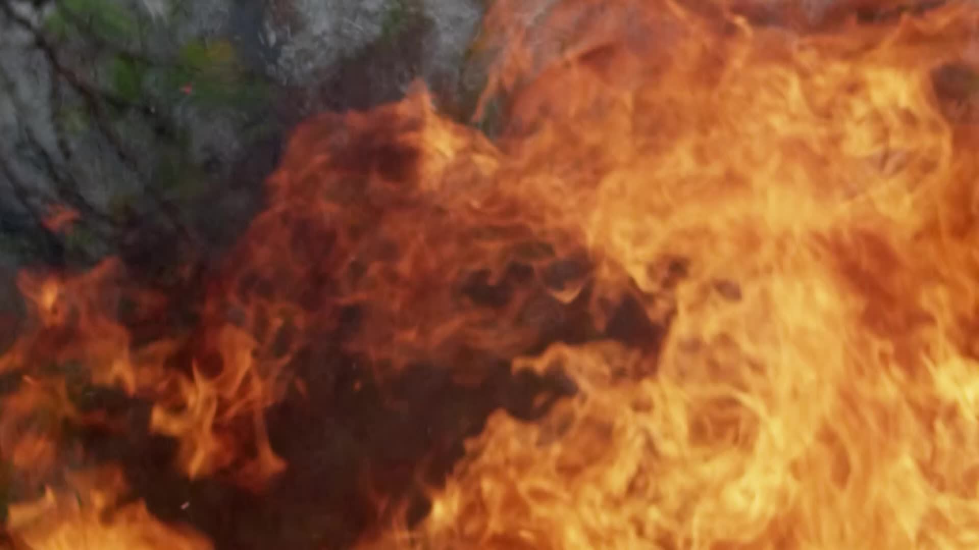 4K森林大火自然灾害野火火灾视频视频的预览图