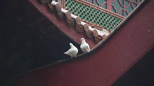 杭州春天寺庙古建筑自然唯美视频的预览图