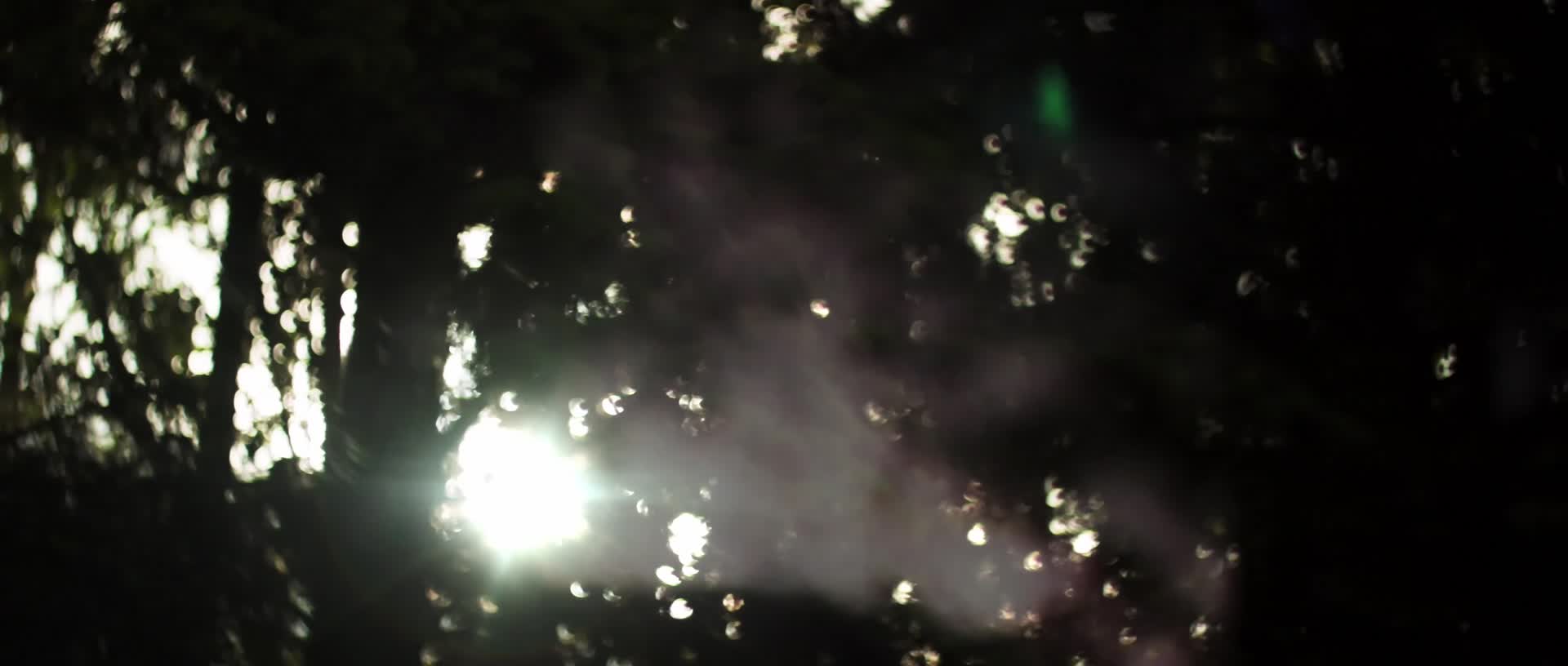 森林树木阳光斑驳光影树荫视频的预览图