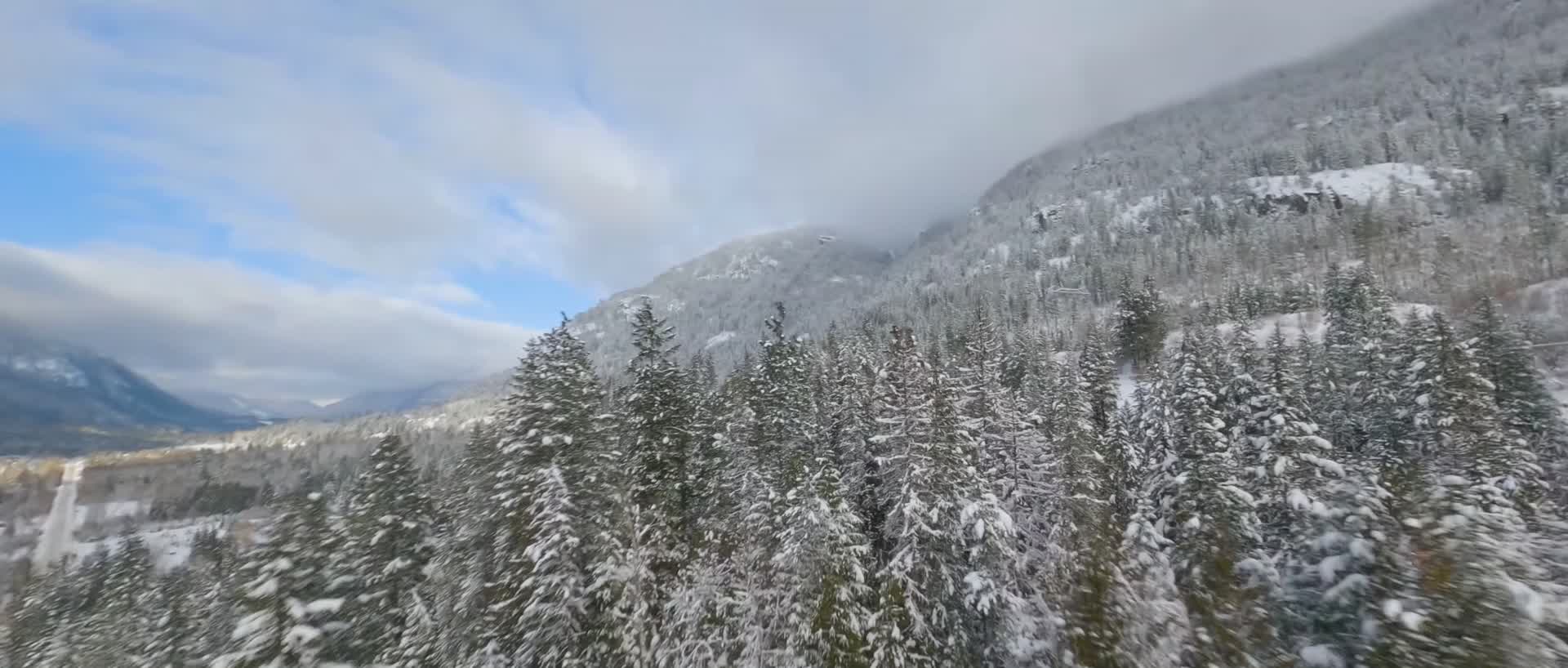 冬季森林雪山穿越机航拍视频的预览图