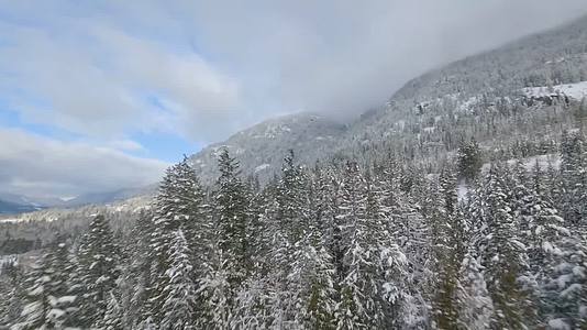 冬季森林雪山穿越机航拍视频的预览图