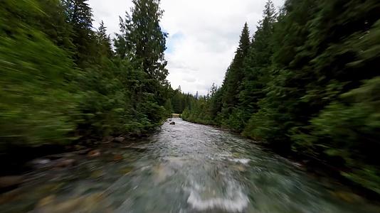 森林树木河流溪水穿越机航拍视频的预览图