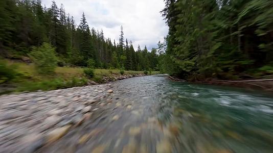 森林树木河流溪水穿越机航拍视频的预览图