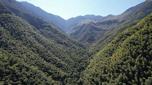 安吉竹海森林高山视频的预览图