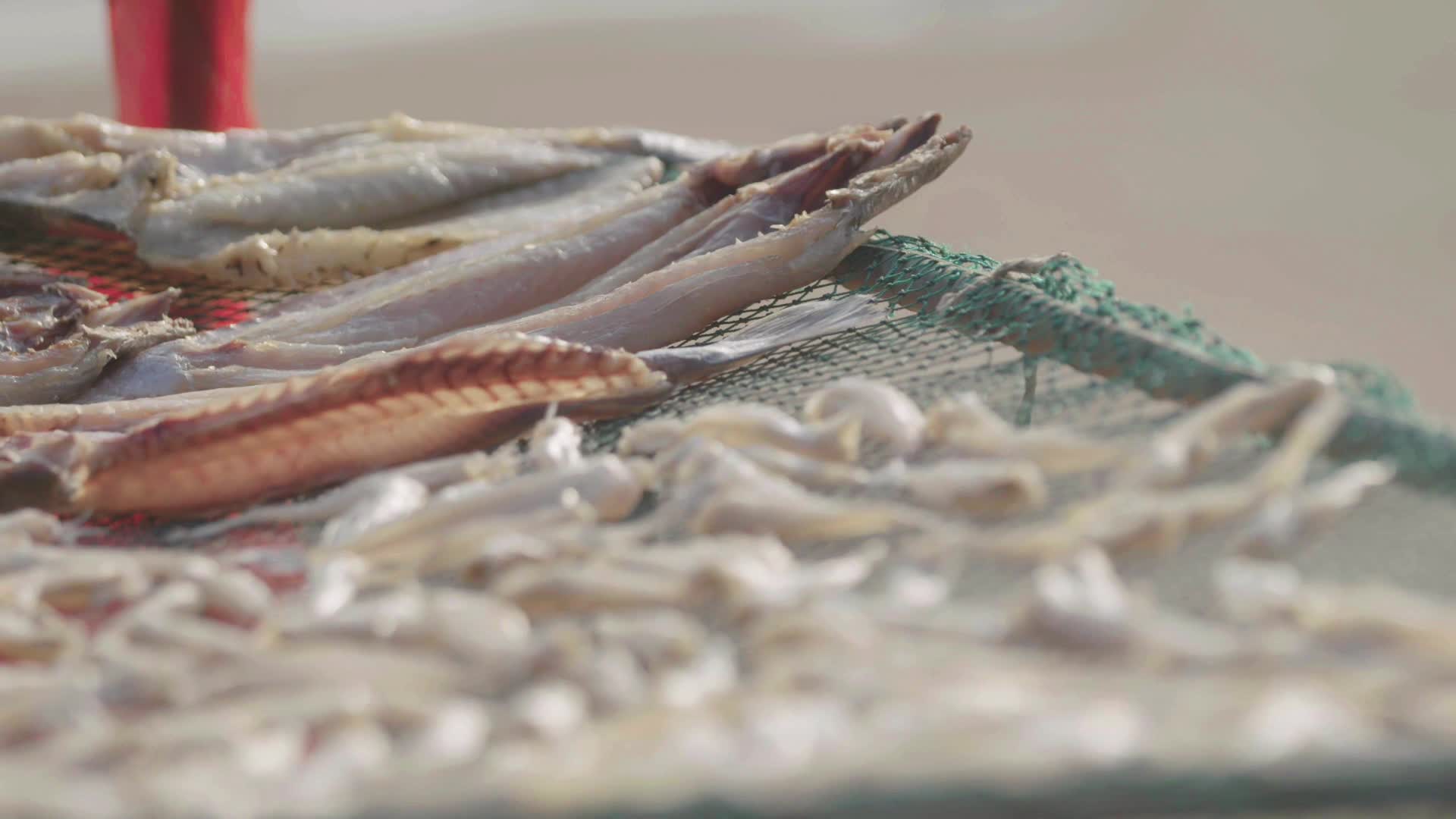 晾晒海产品视频的预览图